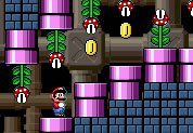 Super Mario World 3